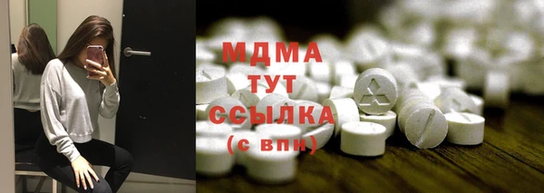 mdpv Богородицк