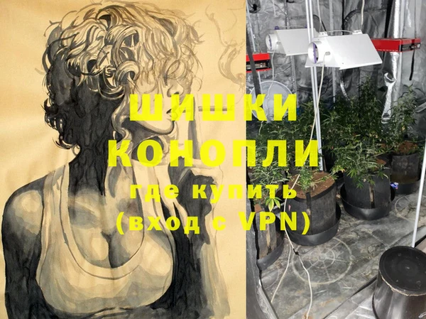 шишки Богородск