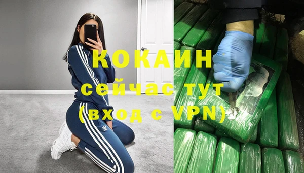 mdpv Богородицк