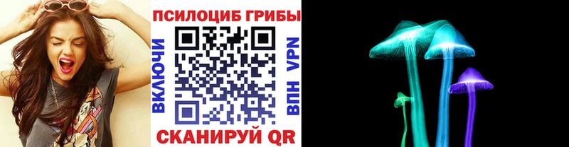 Галлюциногенные грибы прущие грибы Кизляр