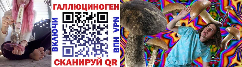 Псилоцибиновые грибы Magic Shrooms  Кизляр 